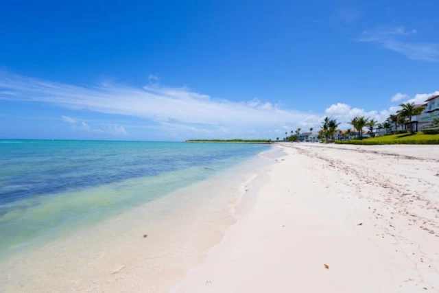 Punta Palmera's Premier Vacation Residence - Image 9